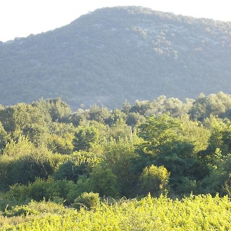 Guesthouse Feel Lake Virpazar Exterior foto