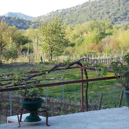 Guesthouse Feel Lake Virpazar Exterior foto