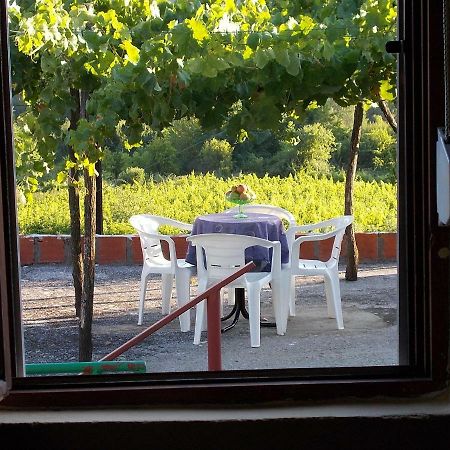 Guesthouse Feel Lake Virpazar Exterior foto