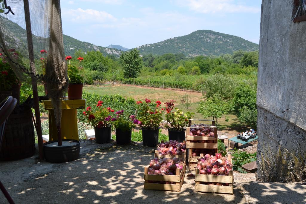 Guesthouse Feel Lake Virpazar Exterior foto