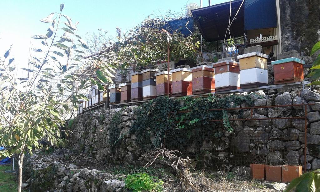 Guesthouse Feel Lake Virpazar Exterior foto