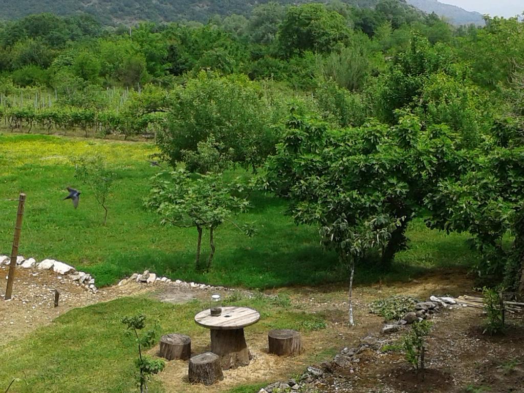 Guesthouse Feel Lake Virpazar Exterior foto