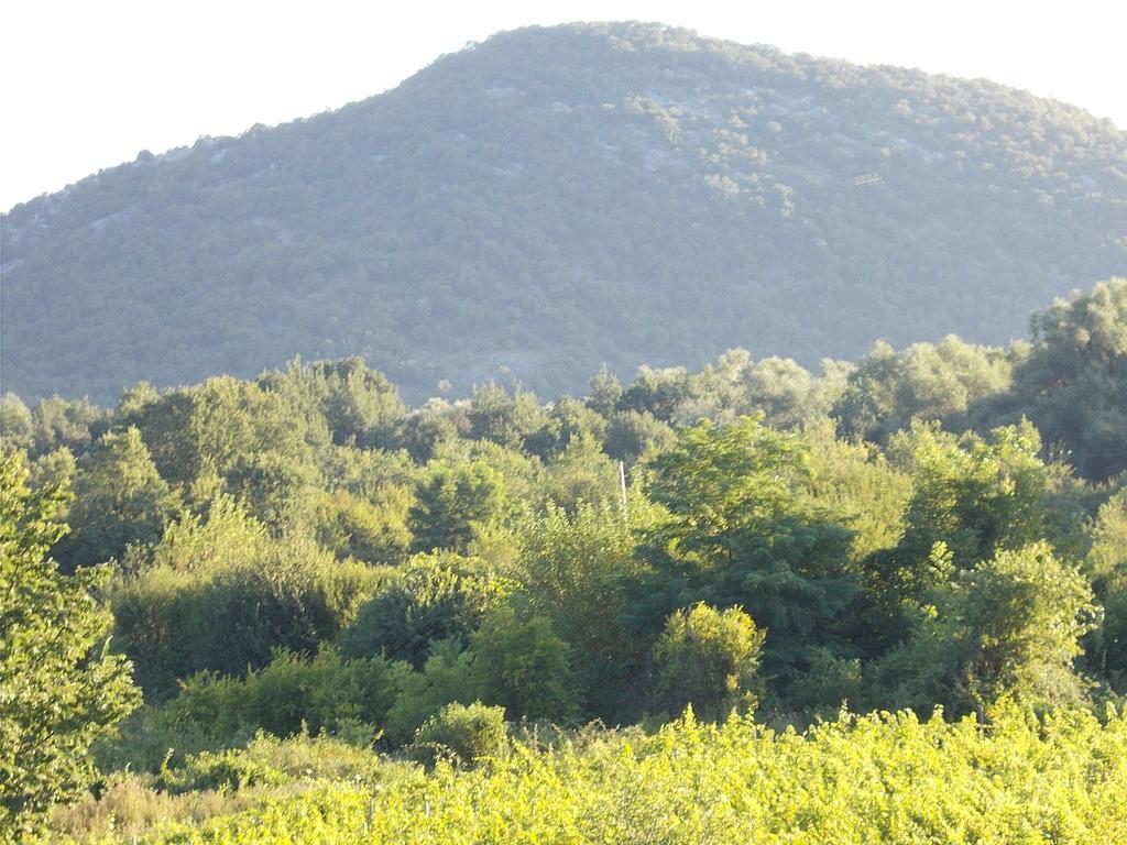 Guesthouse Feel Lake Virpazar Exterior foto