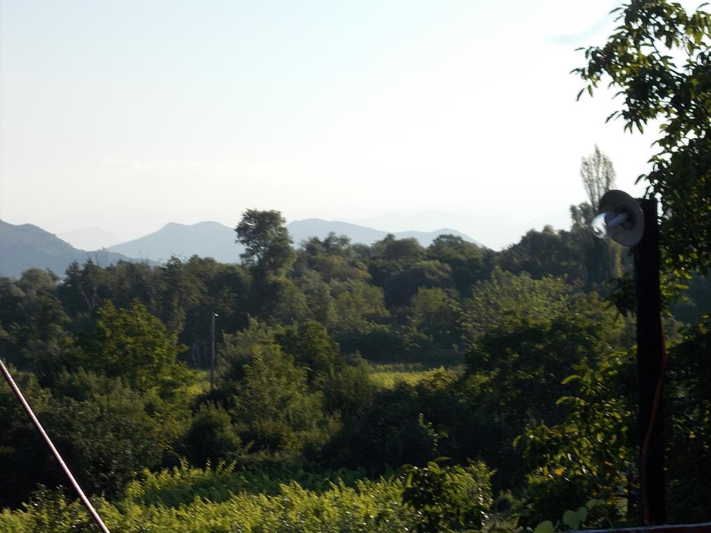 Guesthouse Feel Lake Virpazar Exterior foto