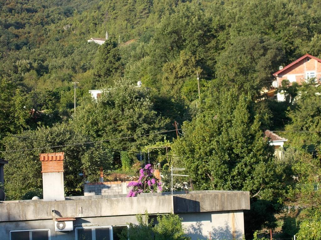 Guesthouse Feel Lake Virpazar Exterior foto