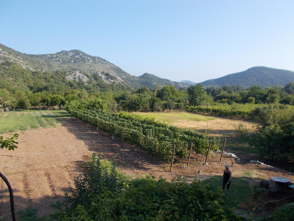 Guesthouse Feel Lake Virpazar Exterior foto