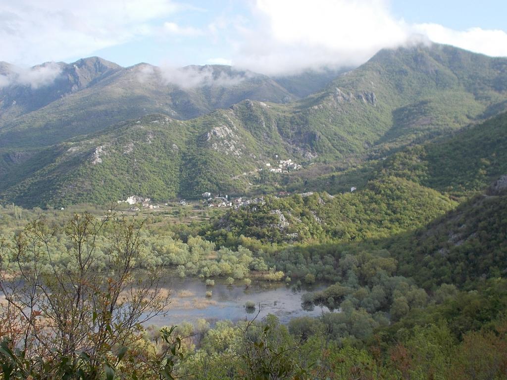Guesthouse Feel Lake Virpazar Exterior foto